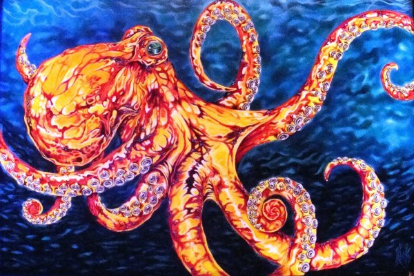 Kraken даркнет переходник